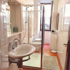 Shower, hair dryer, bidet, towels