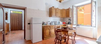 Il Ciliegio/The Blossom Tree