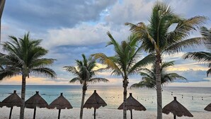 Une plage bordée de palmiers et dotée de parasols en chaume, offrant une vue dégagée sur l’océan et une étendue de sable fin.