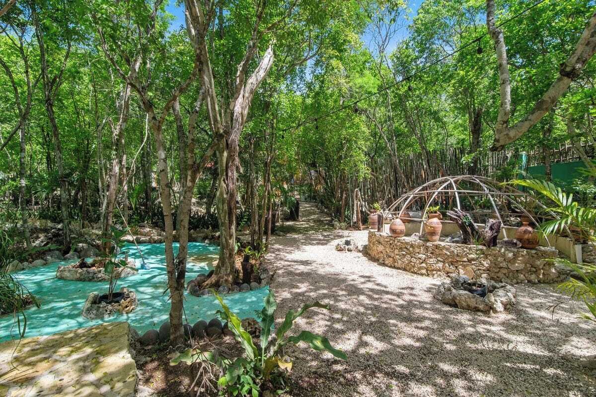 A tropical garden with a clear water feature, stone pathway, and a glasshouse structure.