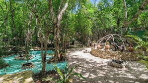 Un jardin tropical agrémenté d’un bassin aux eaux cristallines, d’un sentier en pierre et d’une serre.
