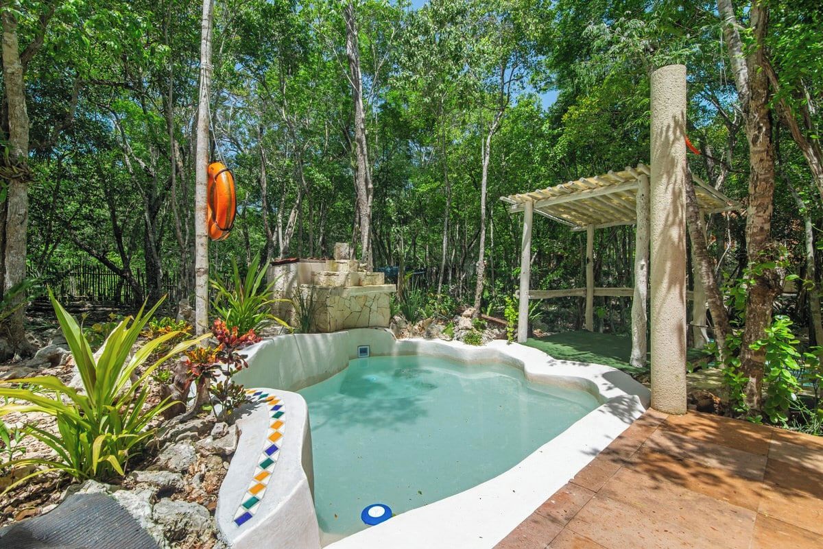 A natural pool surrounded by trees, with a wooden pergola and a lifebuoy hanging nearby.