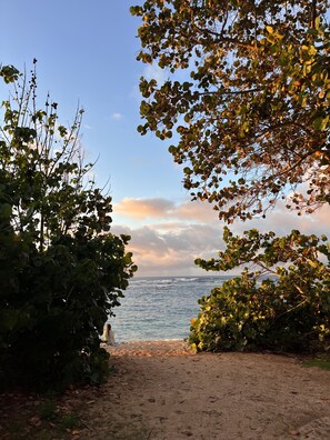 Apartment, 1 Schlafzimmer | Strand