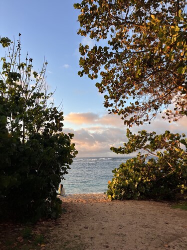 Akule Clubhouse: Awa 1 Bedroom Apt by the Beach 1 Condo by RedAwning