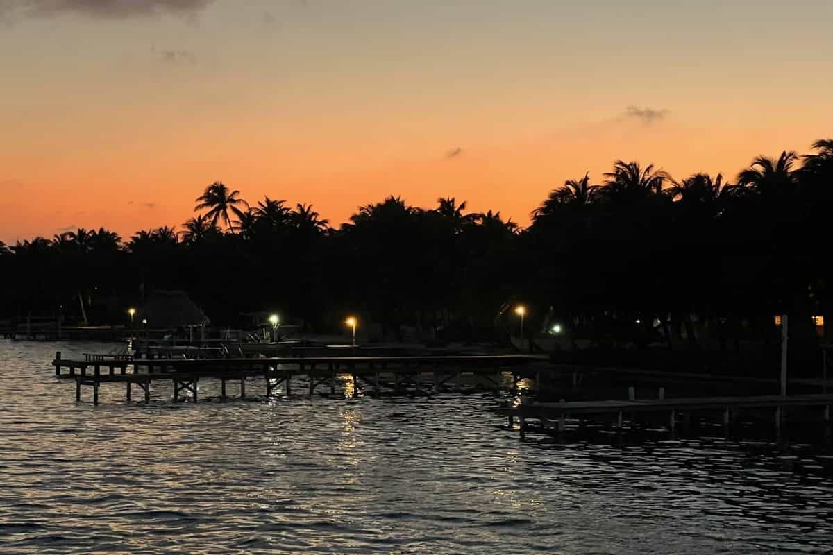 A waterfront scene with a dock extending into calm water, palm trees silhouetted against a sunset sky.