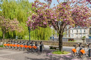 Overnatningsstedets område