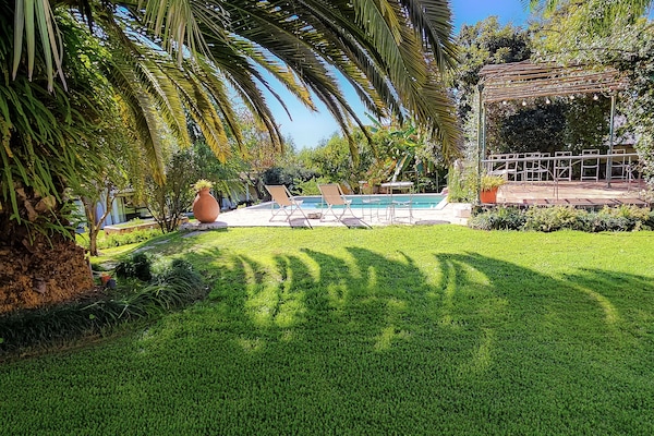 Outdoor pool, open 7:00 AM to 8:30 PM, sun loungers