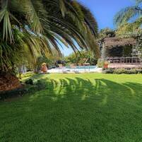 Una piscina al aire libre, sillones reclinables de piscina