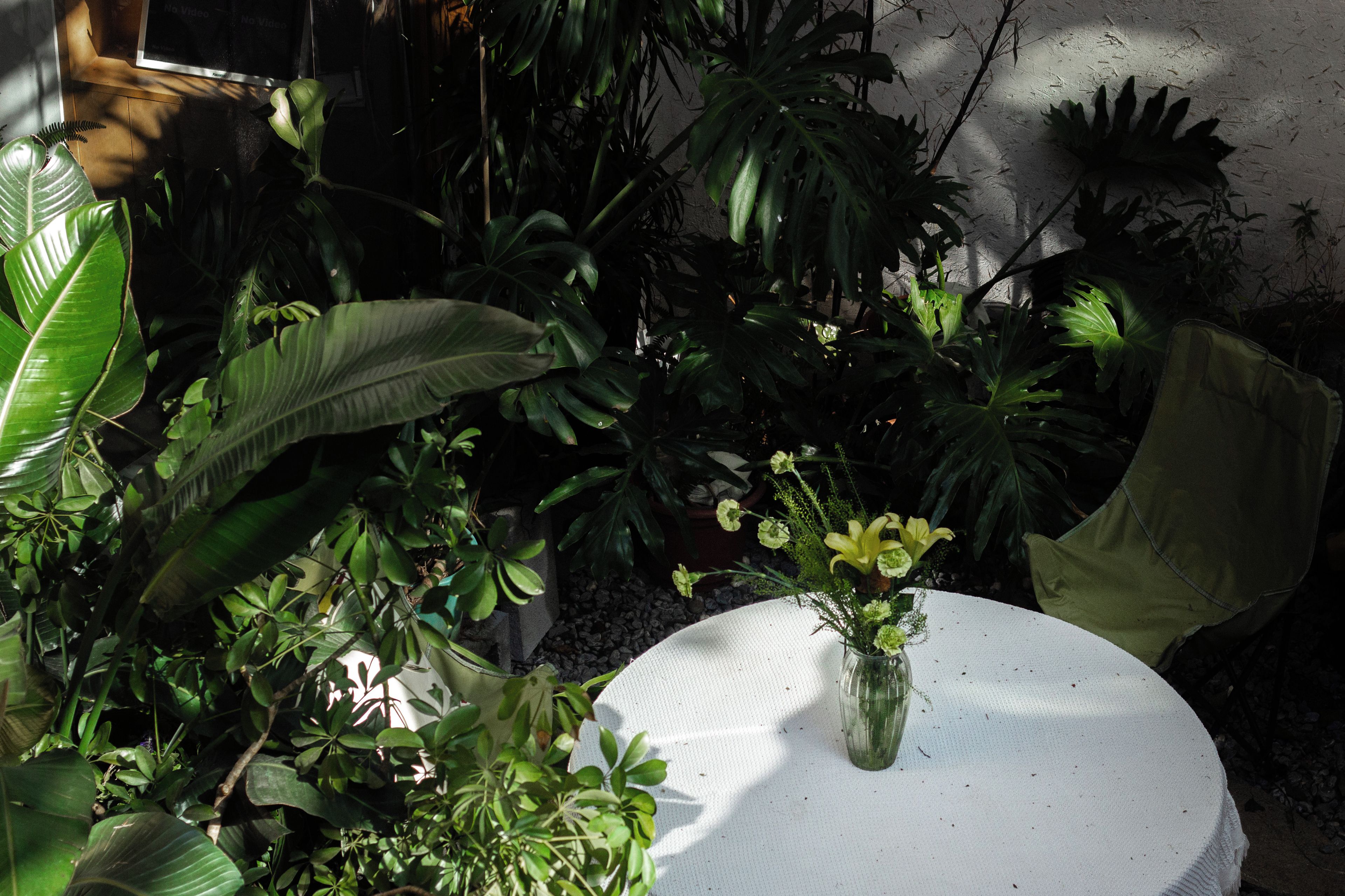A round table with a white tablecloth, surrounded by various green plants and a vase with flowers.