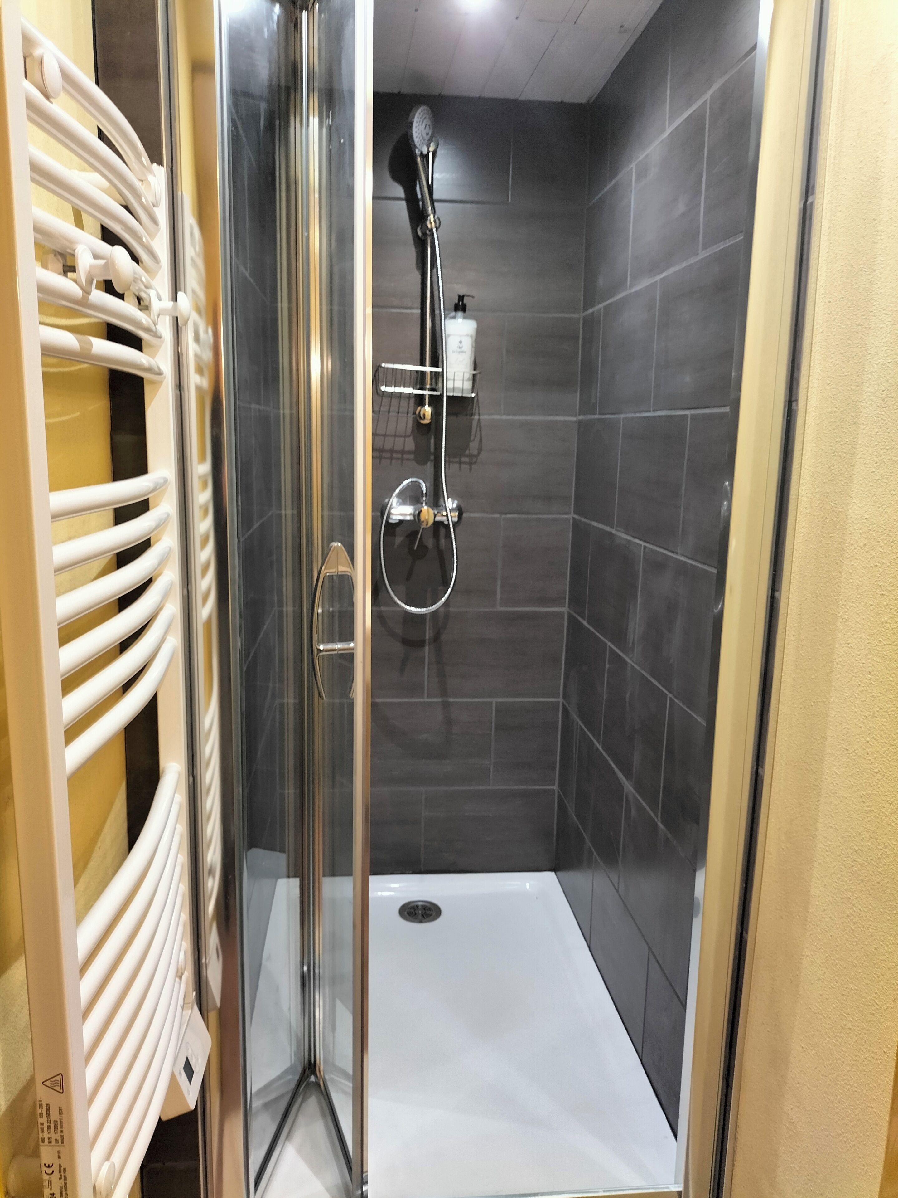 Secador de pelo, toallas, jabón, shampoo