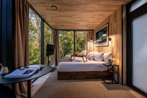 1 soverom, strykejern/-brett, internettilgang og sengetøy