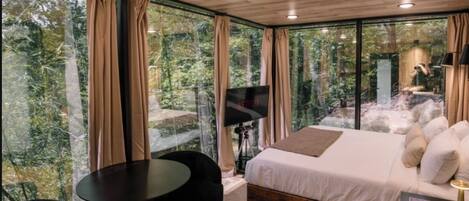 1 bedroom, iron/ironing board, Internet, bed sheets