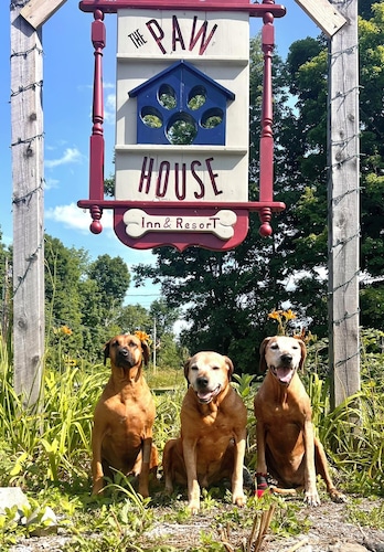 The Paw House Inn & Country Cottages