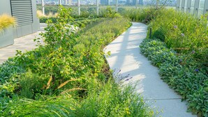 住宿场地