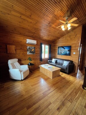 مدفأة، مشغل دي في دي