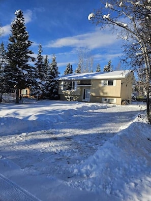 A two-story house with a snow-covered yard and trees.
