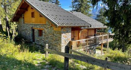 Chalet spacieux Ă La RosiĂšre avec hammam et jacuzzi pour 15 personnes