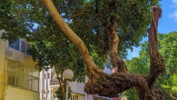 Enceinte de lâhĂ©bergement