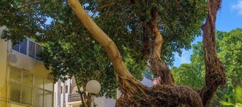 Haifa Hadar Urban Grand Apartment by Shay’s Urban