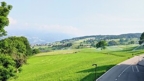 A rural landscape with a road, green fields, and distant houses.