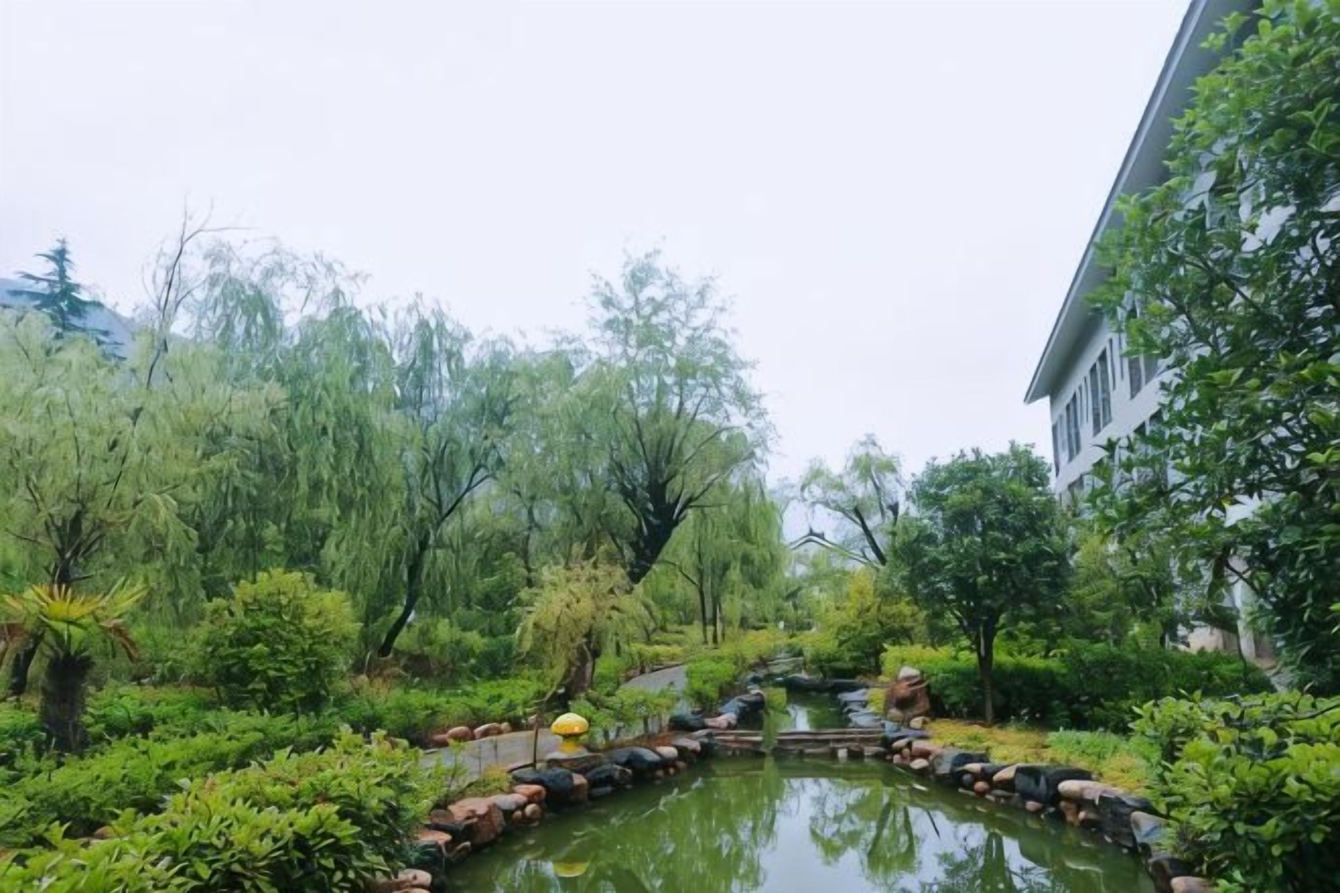 A tranquil garden with a pond, lush greenery, and a building on the right.