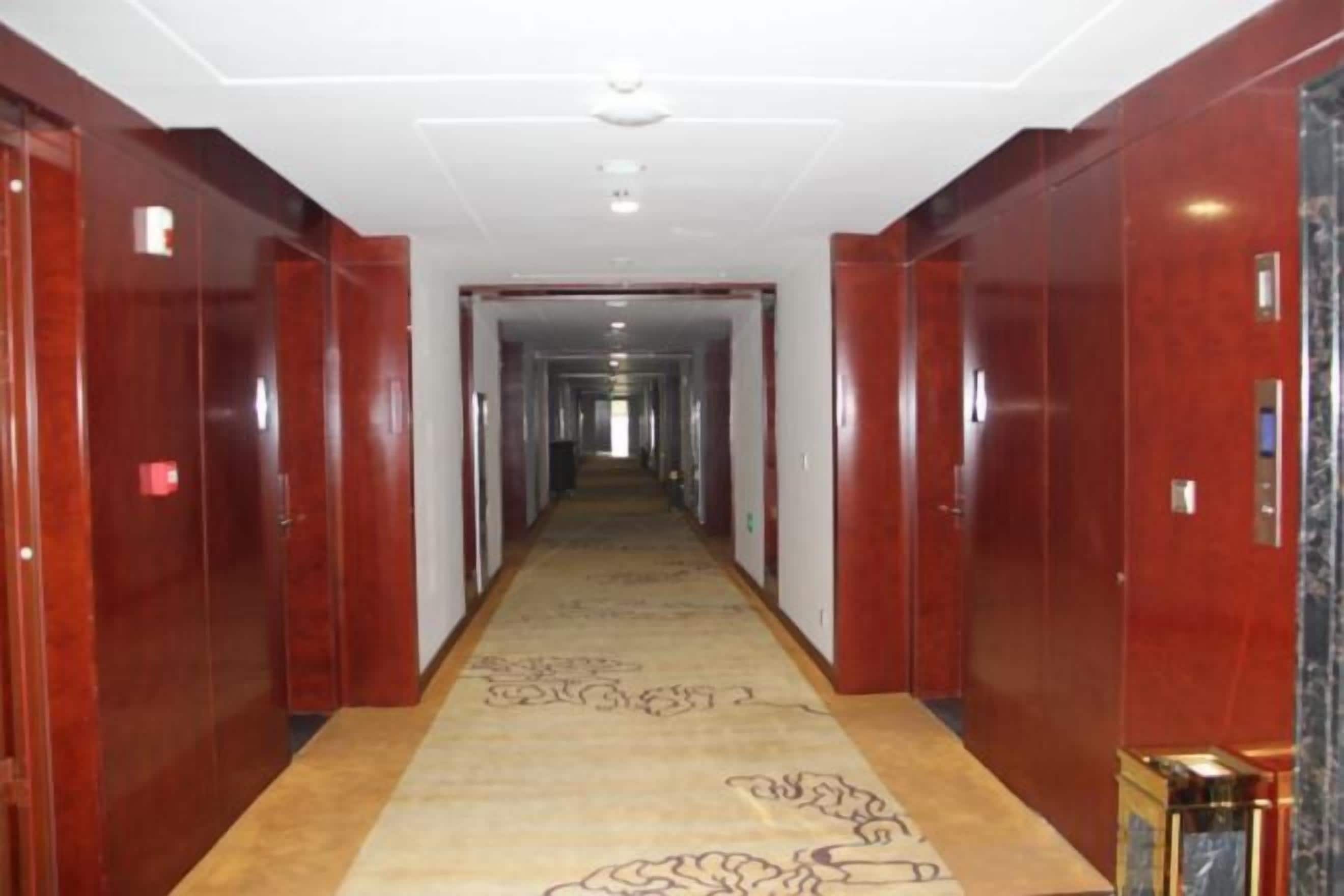 A hotel corridor with wooden doors, a carpeted floor, and a ceiling light fixture.