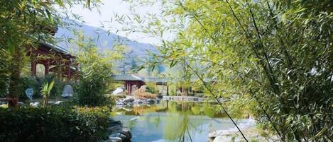 Terrain de l’hébergement