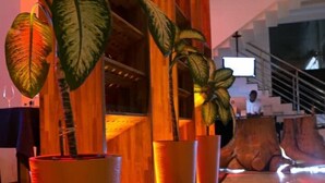 A modern hotel lobby with large potted plants, wooden accents, and a staircase in the background. - suncity Apartments (Accra)