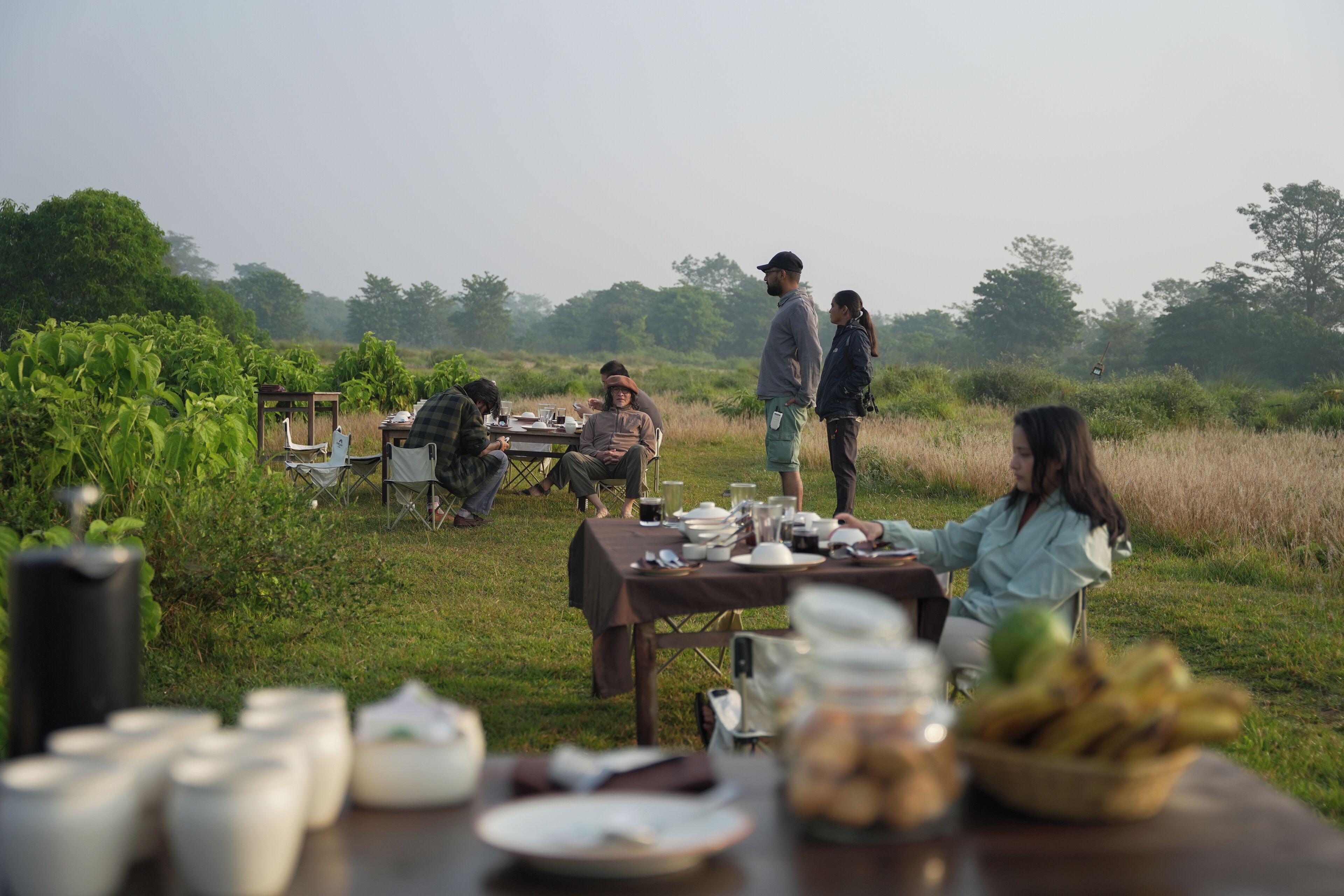 Un área de comedor al aire libre con mesas dispuestas en un campo cubierto de hierba, rodeado de árboles.