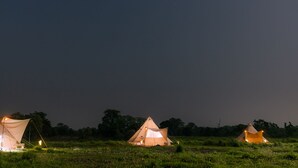 Three tents in a grassy field at night with a dark sky. - Burhan Wilderness Camps (Manjhara)