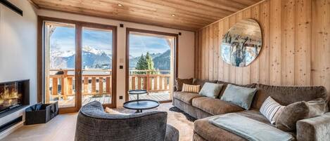 TV, lareira, DVD player, livros