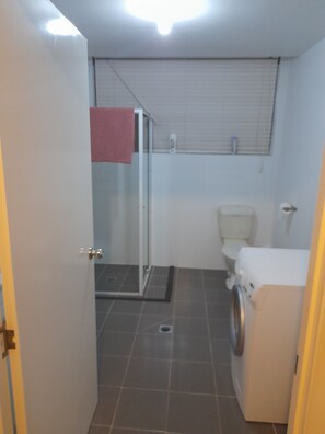 Hair dryer, towels, soap, toilet paper