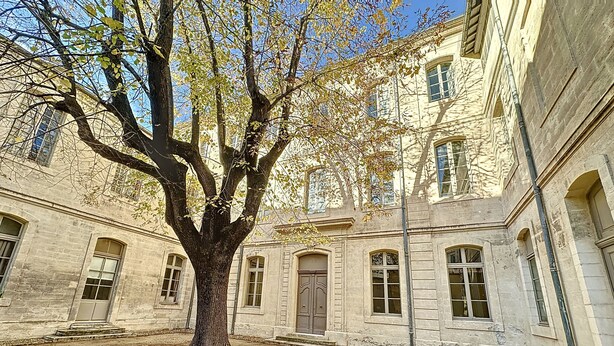 Une cour intérieure avec un grand arbre, entourée de bâtiments historiques en pierre, dotés d’arches au niveau des fenêtres et des portes.