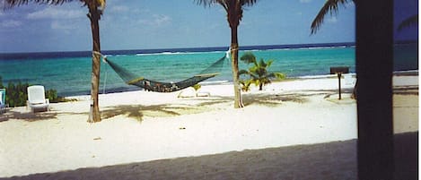 On the beach