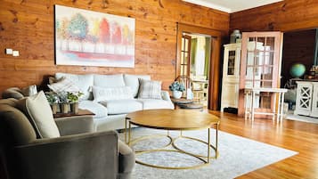 TV connectée, cheminée, livres