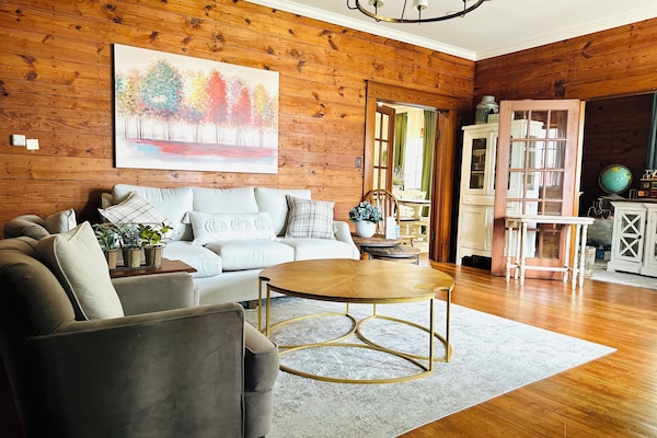 TV connectée, cheminée, livres