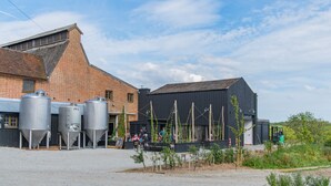 Een brouwerij met grote metalen tanks, een bakstenen gebouw en een modern gebouw met klimop.