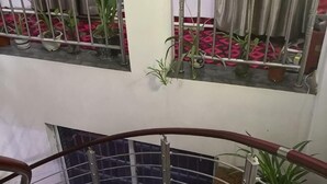 Una escalera con barandilla metálica, plantas en macetas en la plataforma y un suelo de estampado rojo.