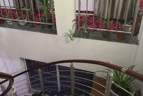 Una escalera con barandilla metálica, plantas en macetas en la plataforma y un suelo de estampado rojo.