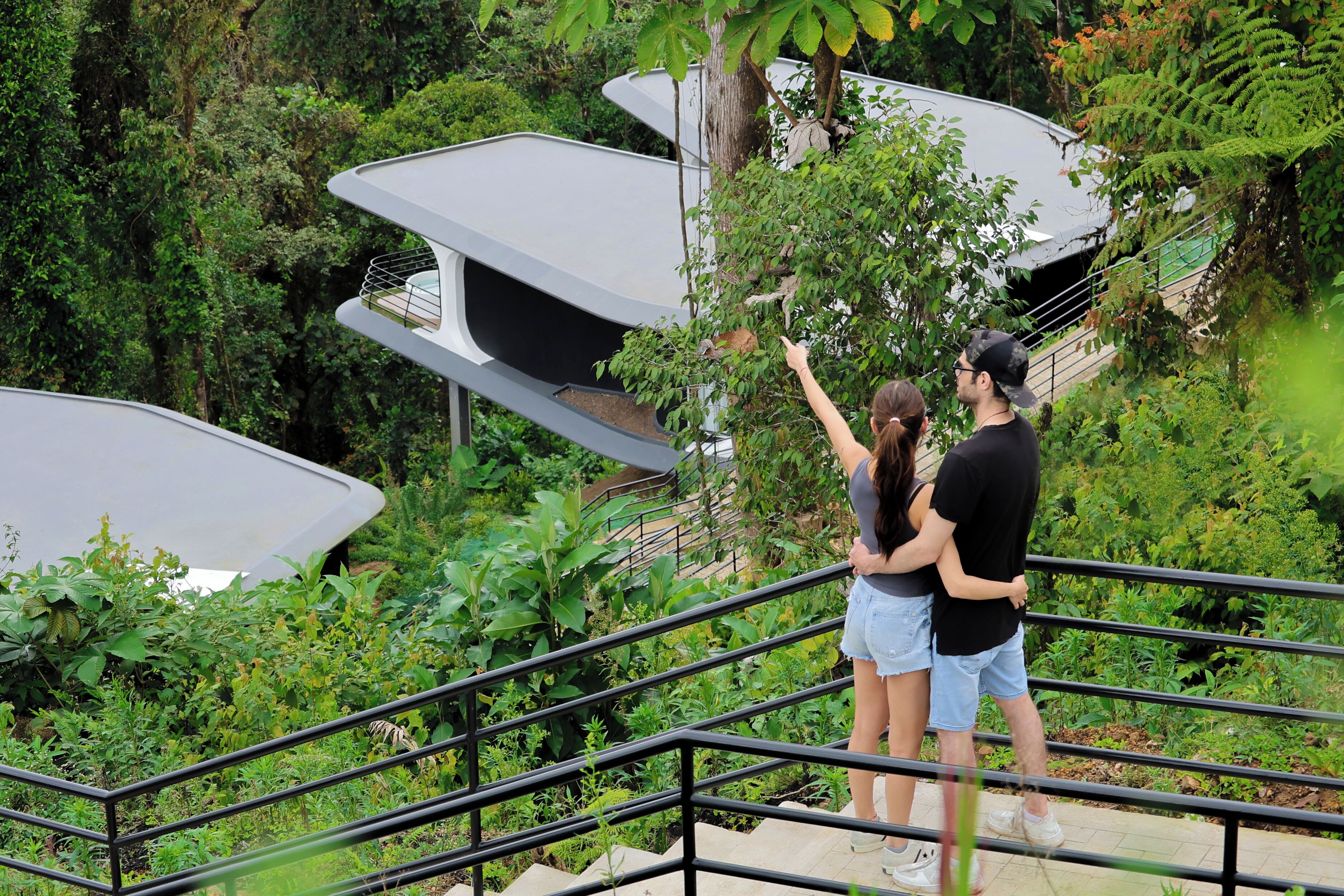 A couple standing on a staircase with a railing, overlooking a lush garden with various plants and trees.