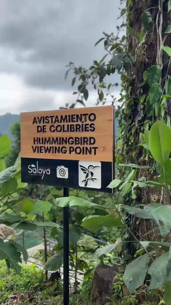 Señal para el 'Avistamiento de Colibries Hummingbird Viewing Point', con un logotipo e ilustración de un ave.
