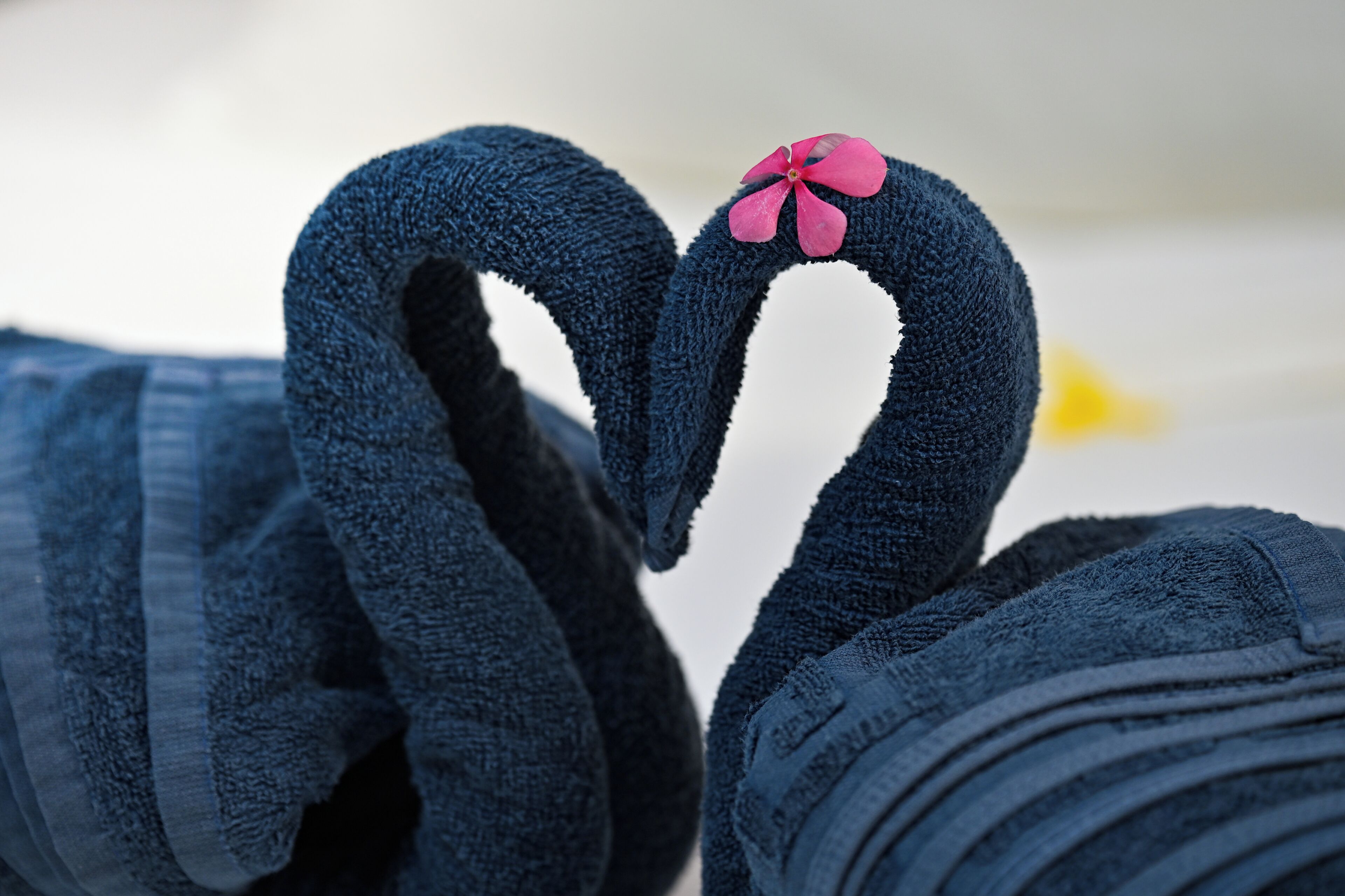 Un gros plan d’une serviette bleue ornée d’une fleur rose.
