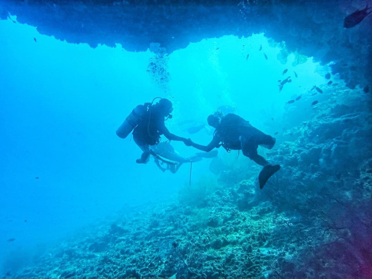 Two divers underwater, surrounded by marine life and coral formations.