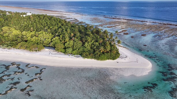 Eine Luftaufnahme einer tropischen Insel mit einem weißen Sandstrand, dichtem Grün und klarem türkisblauem Wasser.