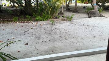 Quarto casal luxo, vista para a praia | Vista do quarto