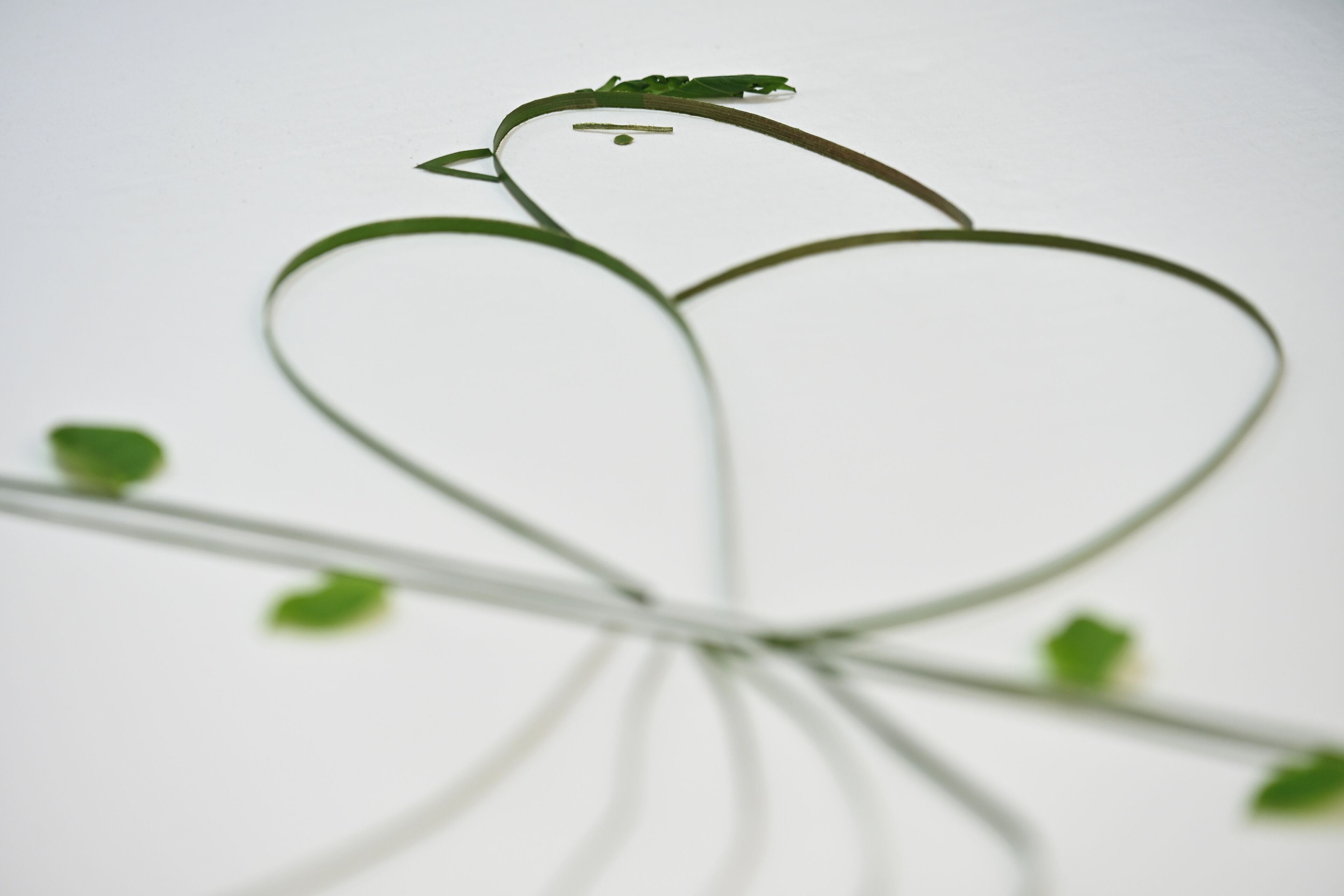 A simple wireframe bird sculpture with a heart shape, positioned on a branch with small leaves.