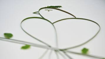 A simple wireframe bird sculpture with a heart shape, positioned on a branch with small leaves.