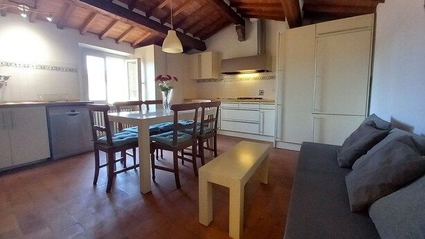 A compact living space with a dining area, kitchenette, and a sofa.