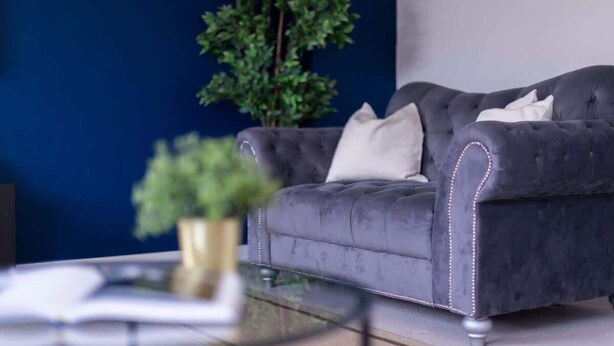 Ein graues, gepolstertes Sofa mit weißen Kissen, ein Glastisch und eine Zimmerpflanze im goldenen Topf.