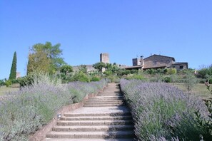 Un escalier en pierre mène à un bâtiment doté d’une tour, lequel est entouré de champs de lavande.